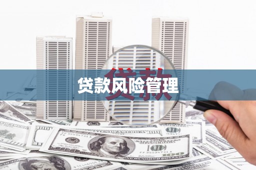 紫阳贷款风险管理