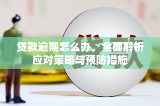 紫阳贷款逾期怎么办，全面解析应对策略与预防措施
