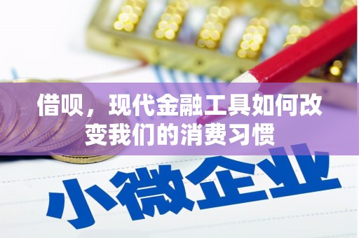 紫阳借呗，现代金融工具如何改变我们的消费习惯