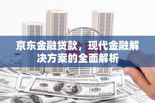 紫阳京东金融贷款，现代金融解决方案的全面解析