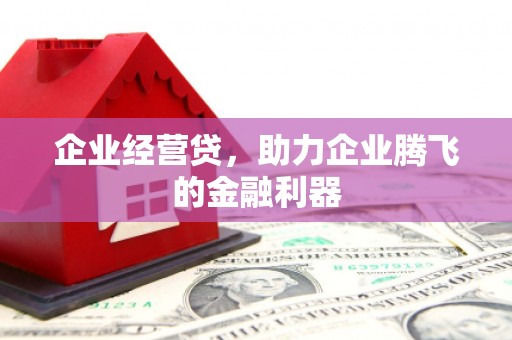 紫阳企业经营贷，助力企业腾飞的金融利器