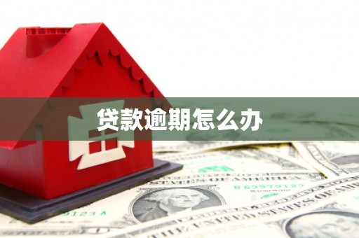 紫阳贷款逾期怎么办
