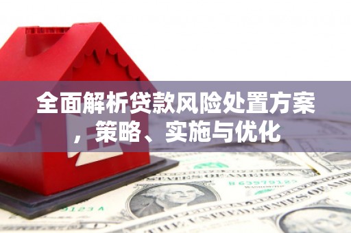 紫阳全面解析贷款风险处置方案，策略、实施与优化