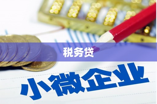 紫阳税务贷