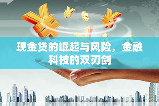紫阳现金贷的崛起与风险，金融科技的双刃剑