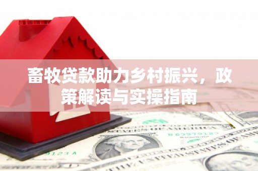 紫阳畜牧贷款助力乡村振兴，政策解读与实操指南