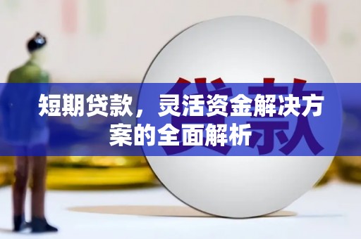 紫阳短期贷款，灵活资金解决方案的全面解析