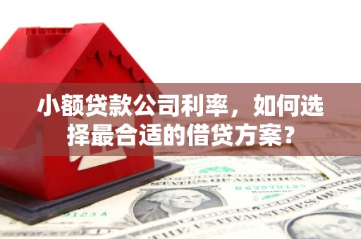紫阳小额贷款公司利率，如何选择最合适的借贷方案？