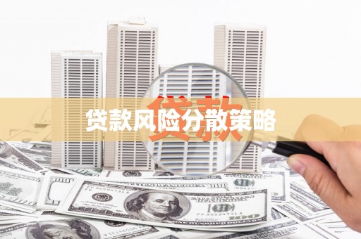 紫阳贷款风险分散策略