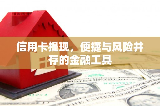 紫阳信用卡提现，便捷与风险并存的金融工具