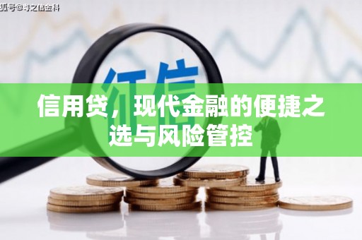 紫阳信用贷，现代金融的便捷之选与风险管控