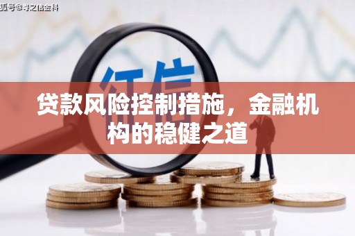 紫阳贷款风险控制措施，金融机构的稳健之道