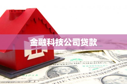 紫阳金融科技公司贷款