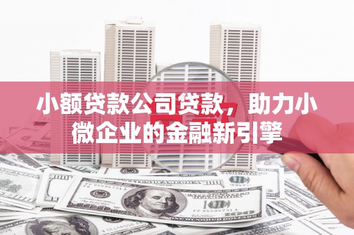 紫阳小额贷款公司贷款，助力小微企业的金融新引擎