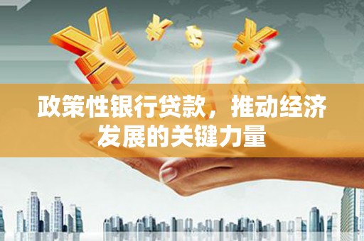 紫阳政策性银行贷款，推动经济发展的关键力量