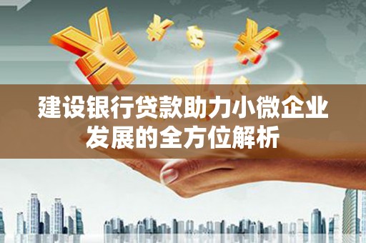 紫阳建设银行贷款助力小微企业发展的全方位解析