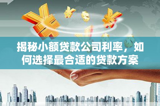 紫阳揭秘小额贷款公司利率，如何选择最合适的贷款方案