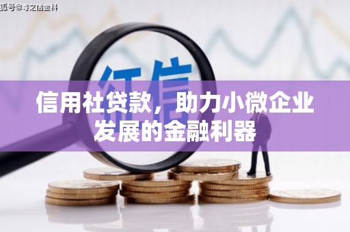 紫阳信用社贷款，助力小微企业发展的金融利器