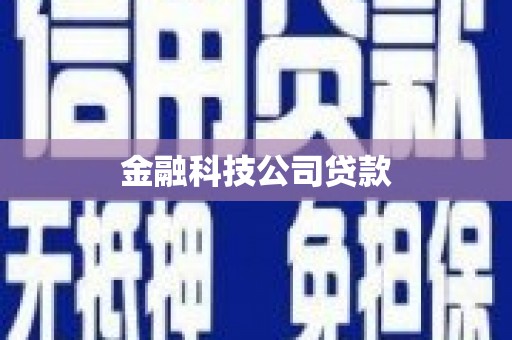 紫阳金融科技公司贷款