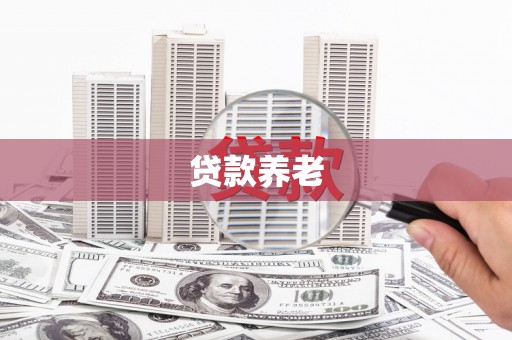 紫阳贷款养老