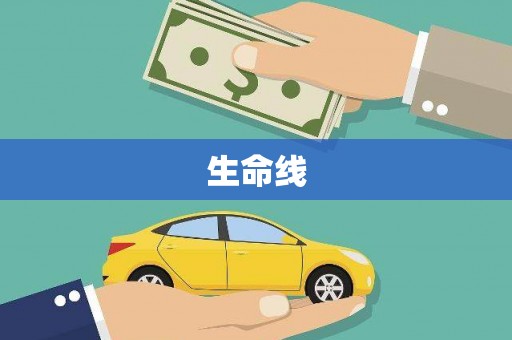 紫阳生命线