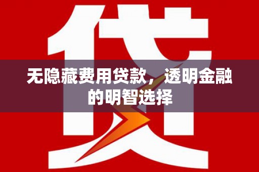 紫阳无隐藏费用贷款，透明金融的明智选择