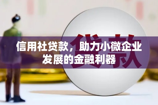 紫阳信用社贷款，助力小微企业发展的金融利器