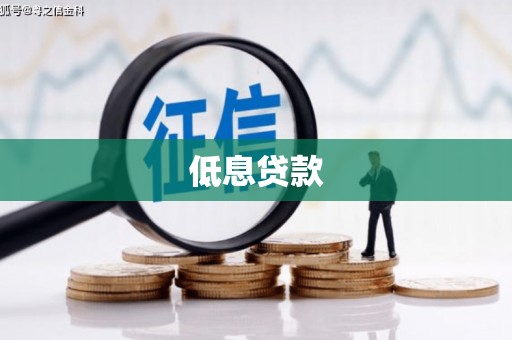 紫阳低息贷款