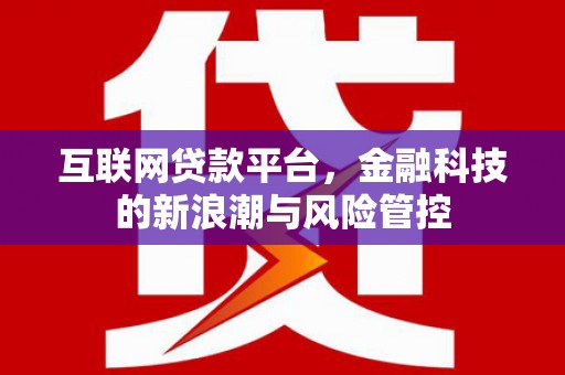 紫阳互联网贷款平台，金融科技的新浪潮与风险管控