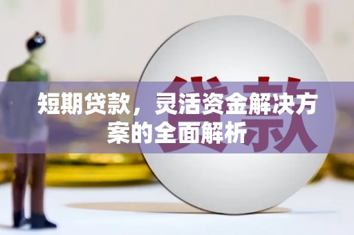 紫阳短期贷款，灵活资金解决方案的全面解析