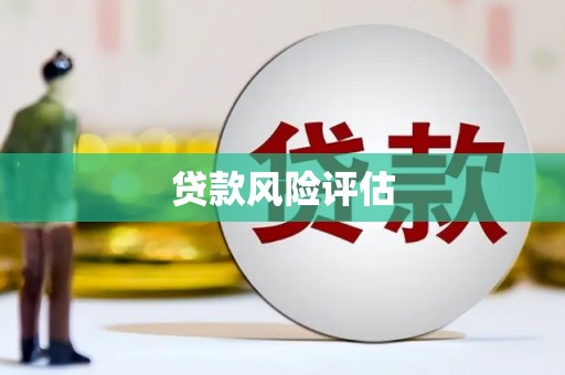 紫阳贷款风险评估