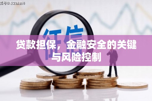 紫阳贷款担保，金融安全的关键与风险控制