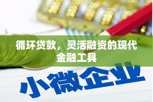 紫阳循环贷款，灵活融资的现代金融工具