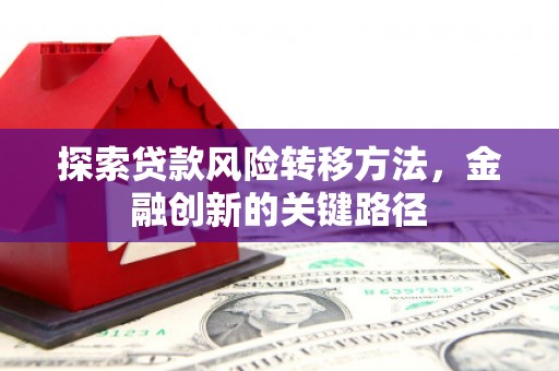 紫阳探索贷款风险转移方法，金融创新的关键路径