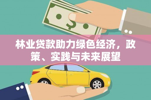紫阳林业贷款助力绿色经济，政策、实践与未来展望