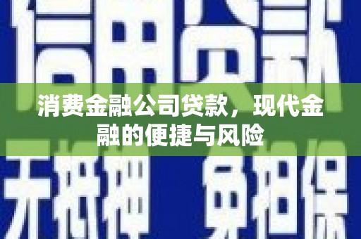 紫阳消费金融公司贷款，现代金融的便捷与风险