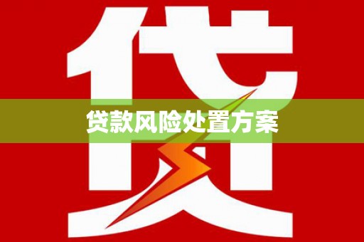 紫阳贷款风险处置方案