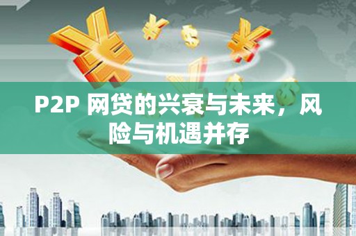 紫阳P2P 网贷的兴衰与未来，风险与机遇并存