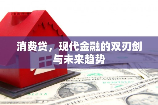 紫阳消费贷，现代金融的双刃剑与未来趋势
