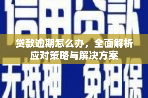 紫阳贷款逾期怎么办，全面解析应对策略与解决方案