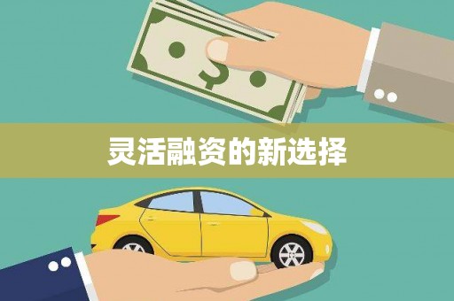 紫阳灵活融资的新选择