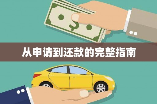 紫阳从申请到还款的完整指南