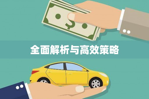 紫阳全面解析与高效策略