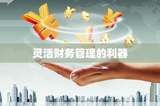 紫阳灵活财务管理的利器