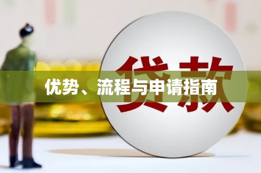 紫阳优势、流程与申请指南