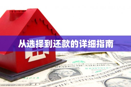 紫阳从选择到还款的详细指南