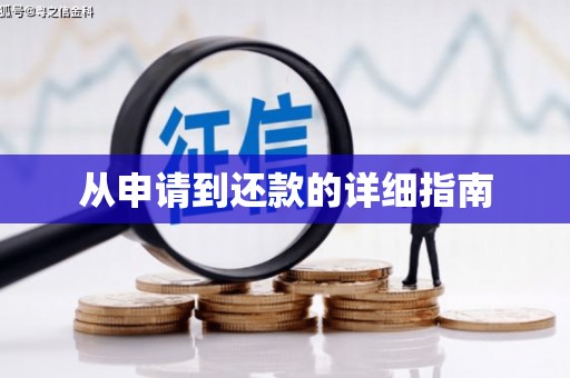 紫阳从申请到还款的详细指南