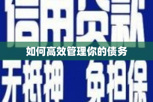 紫阳如何高效管理你的债务