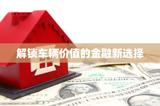 紫阳解锁车辆价值的金融新选择