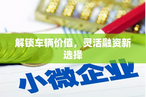 紫阳解锁车辆价值，灵活融资新选择